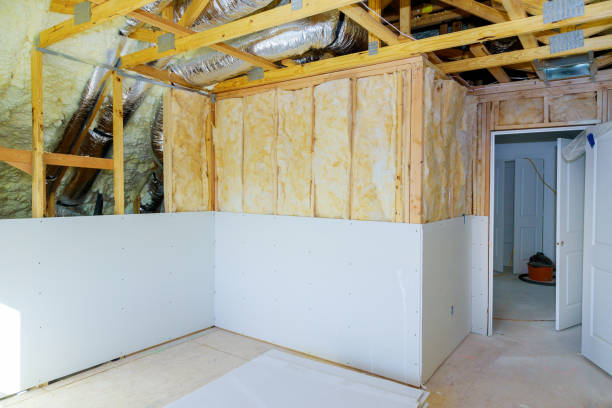Types of Insulation We Offer in Mahinahina, HI