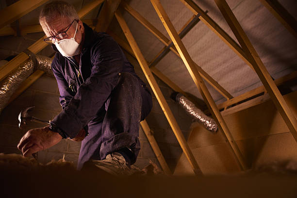 Types of Insulation We Offer in Mahinahina, HI